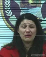 Booking photo of Jennifer Tonia Walker Bales, Polk County, Oct 19, 2016