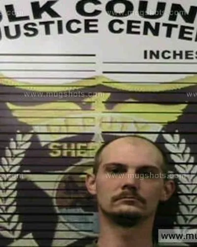 Booking photo of Dale Cook, Polk County, Jun 28, 2016