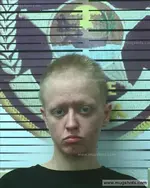 Booking photo of ELIZABETH ELLEN BERRY, Polk County, Jul 20, 2020