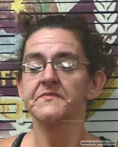 Booking photo of Heidi Bosma, Polk County, Sep 8, 2017