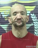 Booking photo of Mickey ROGER Anderson, Polk County, Jun 28, 2016