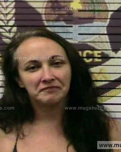 Booking photo of Susan Callihan, Polk County, Jun 28, 2016