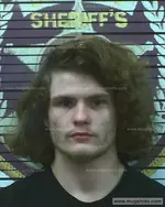 Booking photo of Logan Ballew, Polk County, Feb 10, 2022