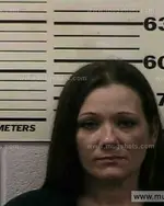 Booking photo of Brandy TROY Adams, Polk County, Jun 28, 2016