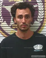 Booking photo of Steven Bell, Polk County, Jun 8, 2017