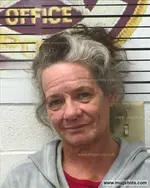 Booking photo of Shelia Brown, Polk County, Dec 13, 2019