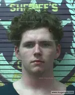 Booking photo of Brandon Wade Breedlove, Polk County, Apr 21, 2019