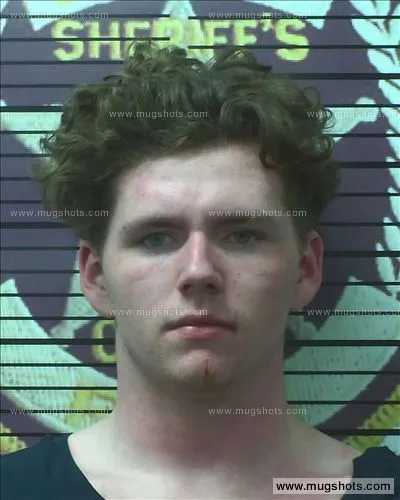 Booking photo of Brandon Wade Breedlove, Polk County, Apr 21, 2019