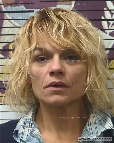 Booking photo of Tammy Cobb, Polk County, Apr 12, 2017