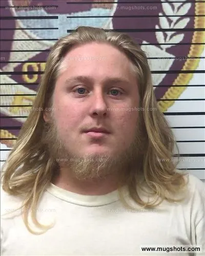 Booking photo of Brandon Alley, Polk County, Aug 4, 2017