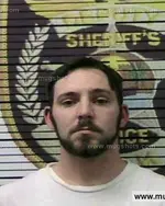 Booking photo of David Cannon, Polk County, Jun 28, 2016