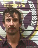 Booking photo of Stacy Darlene Adams, Polk County, Jan 25, 2017