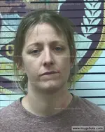 Booking photo of Laura Allyson Cheek, Polk County, Sep 9, 2017