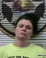 Booking photo of Shannon M Burchfield, Polk County, Jun 28, 2016