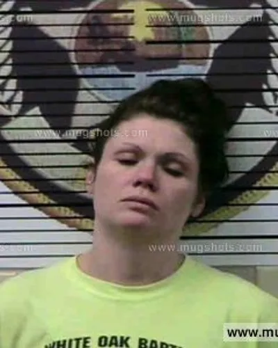 Booking photo of Shannon M Burchfield, Polk County, Jun 28, 2016