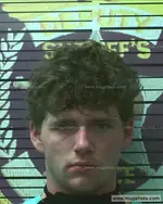 Booking photo of Brandon Wade Breedlove, Polk County, Sep 11, 2020