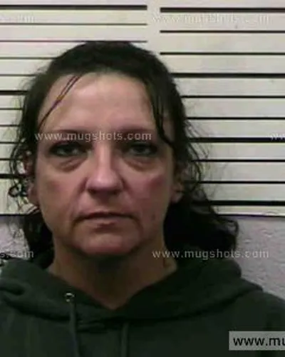 Booking photo of Connie Cook, Polk County, Jun 28, 2016