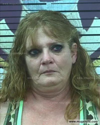 Booking photo of Lisa Bard, Polk County, Jun 28, 2016