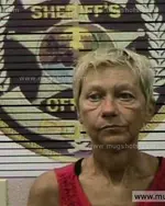 Booking photo of Vicki JOE Bates, Polk County, Jun 28, 2016