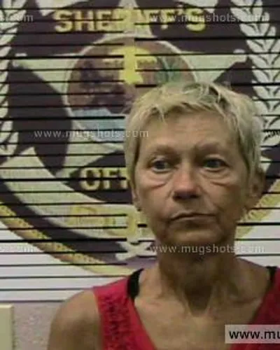 Booking photo of Vicki JOE Bates, Polk County, Jun 28, 2016