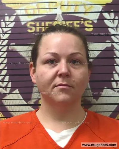 Booking photo of Amber Courtney, Polk County, Jan 25, 2017