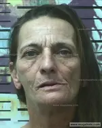 Booking photo of Mary Clewis, Polk County, Jan 10, 2020