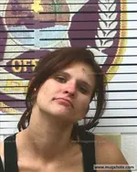 Booking photo of Sarah Cross, Polk County, Jul 25, 2017