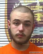 Booking photo of Sean Cowart, Polk County, Apr 20, 2017