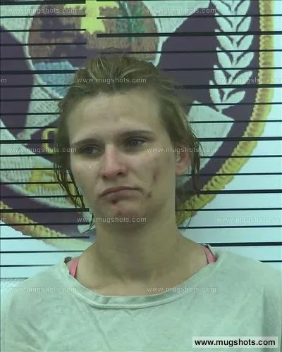 Booking photo of Sarah Cross, Polk County, Jun 28, 2016