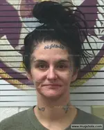 Booking photo of Desiree Cahill, Polk County, Feb 11, 2018