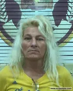 Booking photo of MICHELLE R CHAMBERS, Polk County, Mar 10, 2022