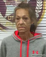 Booking photo of Susie Burnett, Polk County, Dec 28, 2021