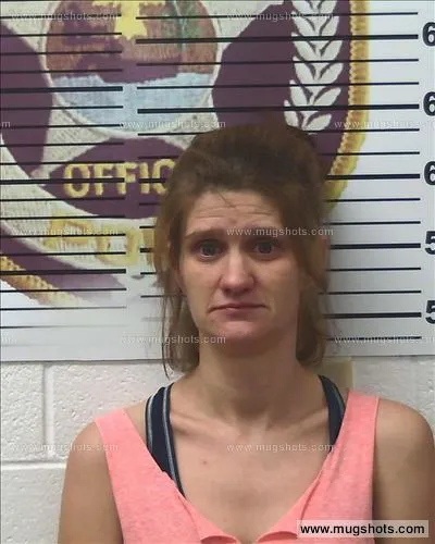 Booking photo of Somer Brocksmith, Polk County, Aug 10, 2018