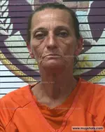 Booking photo of Mary Clewis, Polk County, Jul 2, 2018