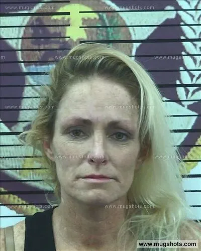 Booking photo of Dusty Lanelle Bodenhamer, Polk County, Jun 28, 2016