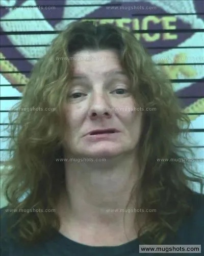 Booking photo of Shirlene Baines, Polk County, Jun 28, 2016