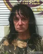 Booking photo of Susan Boulton, Polk County, Aug 6, 2020