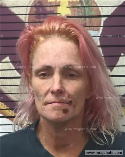 Booking photo of Dusty Lanelle Bodenhamer, Polk County, Aug 15, 2018