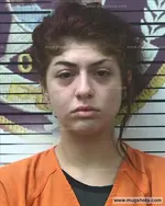 Booking photo of Erica Chastain, Polk County, Jul 5, 2017