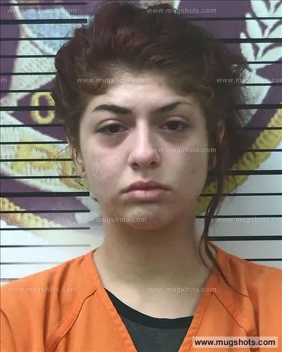 Booking photo of Erica Chastain, Polk County, Jul 5, 2017