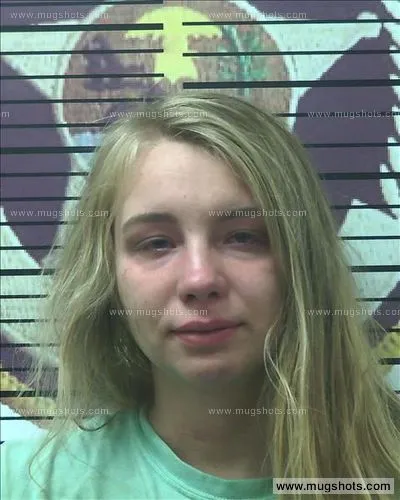 Booking photo of Christina Conner, Polk County, Jun 17, 2018