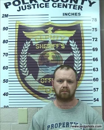 Booking photo of Dennis Arp, Polk County, Jun 28, 2016