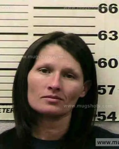 Booking photo of Amy Bradley, Polk County, Jun 28, 2016