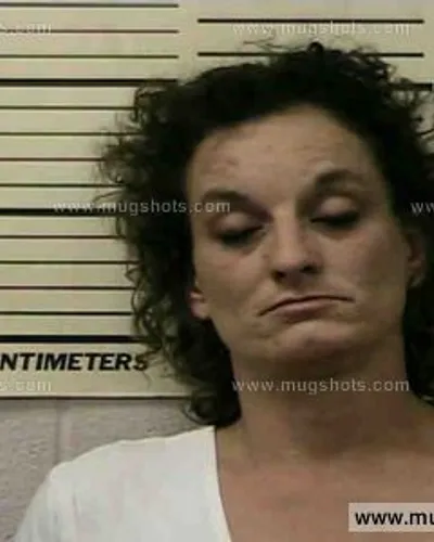 Booking photo of Crista Cook, Polk County, Jun 28, 2016