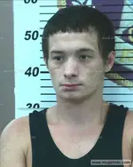 Booking photo of John Baines, Polk County, Aug 18, 2016