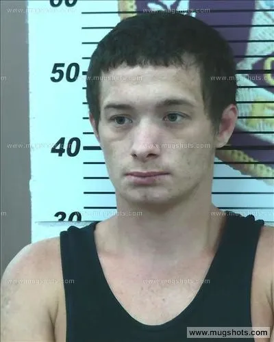 Booking photo of John Baines, Polk County, Aug 18, 2016