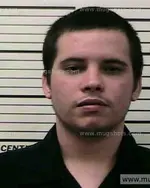 Booking photo of CARLTON DALE BOWMAN, Polk County, Jun 28, 2016