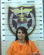 Booking photo of Tabitha Blair, Polk County, Jun 28, 2016