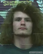 Booking photo of Logan Ballew, Polk County, May 10, 2022