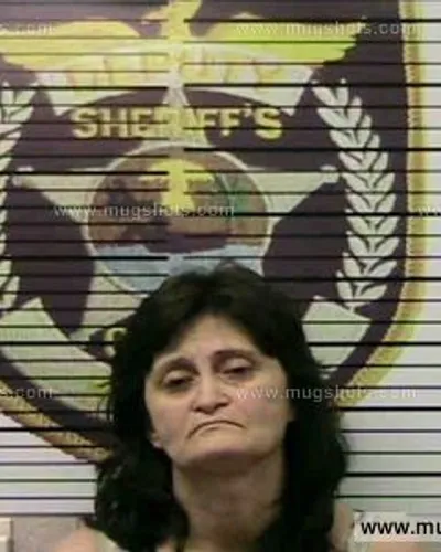 Booking photo of Melissa Brandenburg, Polk County, Jun 28, 2016